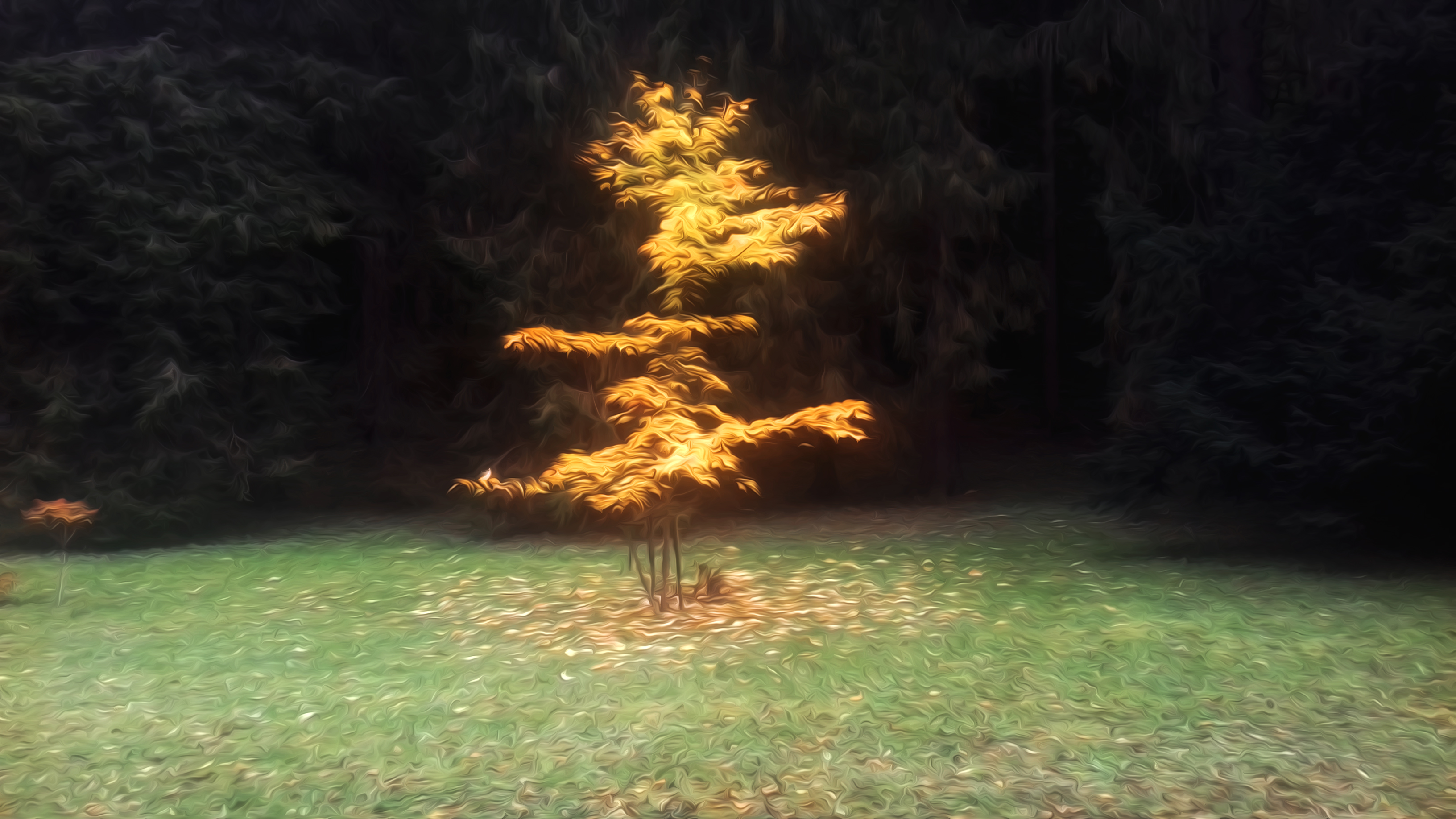 Light tree in dark forest