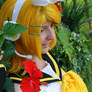 Kagamine Rin: Habiscus