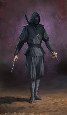 Ninja Concept