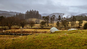 Wet winter day