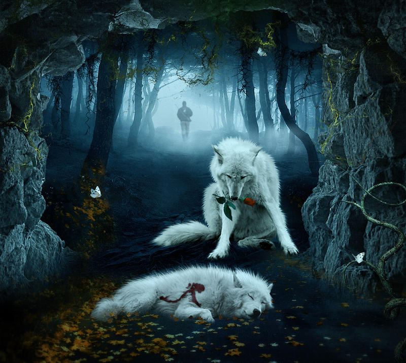 Lost Rose by shiny-shadows-Art on DeviantArt