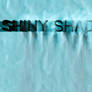 Shiny Logo 2