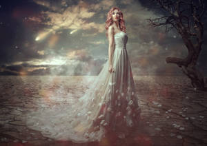 Desert Rose by shiny-shadows-Art Desert Rose by shiny-shadows-Art