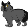 Graystripe