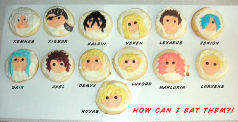 Organization XIII COOKIES