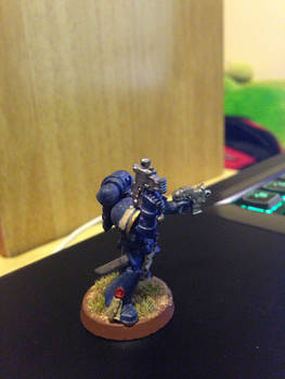 Ultramarines Sergeant Right