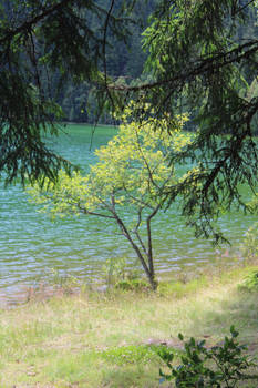 Szent Anna lake