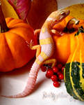 Halloween Gecko by Toxic-Muffins-Studio