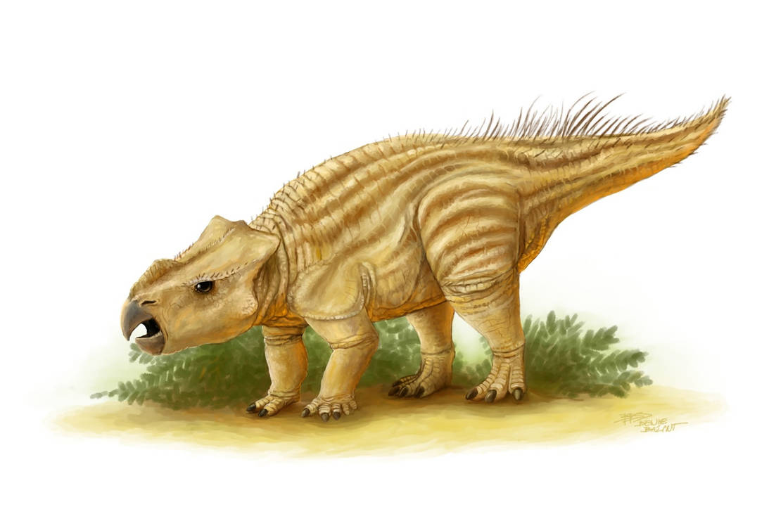 ajkaceratops kozmai by tnilabekneb121 on DeviantArt