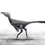 nontraditional Ornithomimus