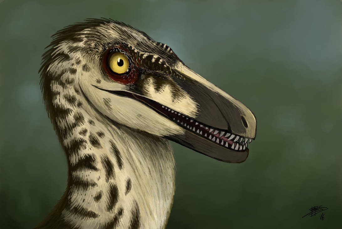 velociraptor portrait - jp3 female by tnilab-ekneb121 on DeviantArt