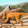 Ajkaceratops