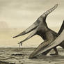 Pteranodon