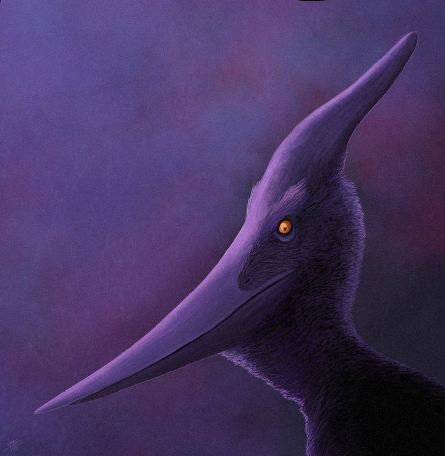 Ridley the Pteranodon by tnilab-ekneb121 on DeviantArt