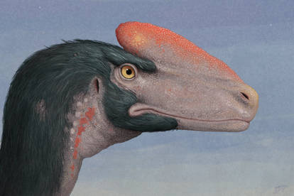 Guanlong portrait