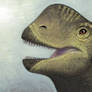 Europasaurus portrait