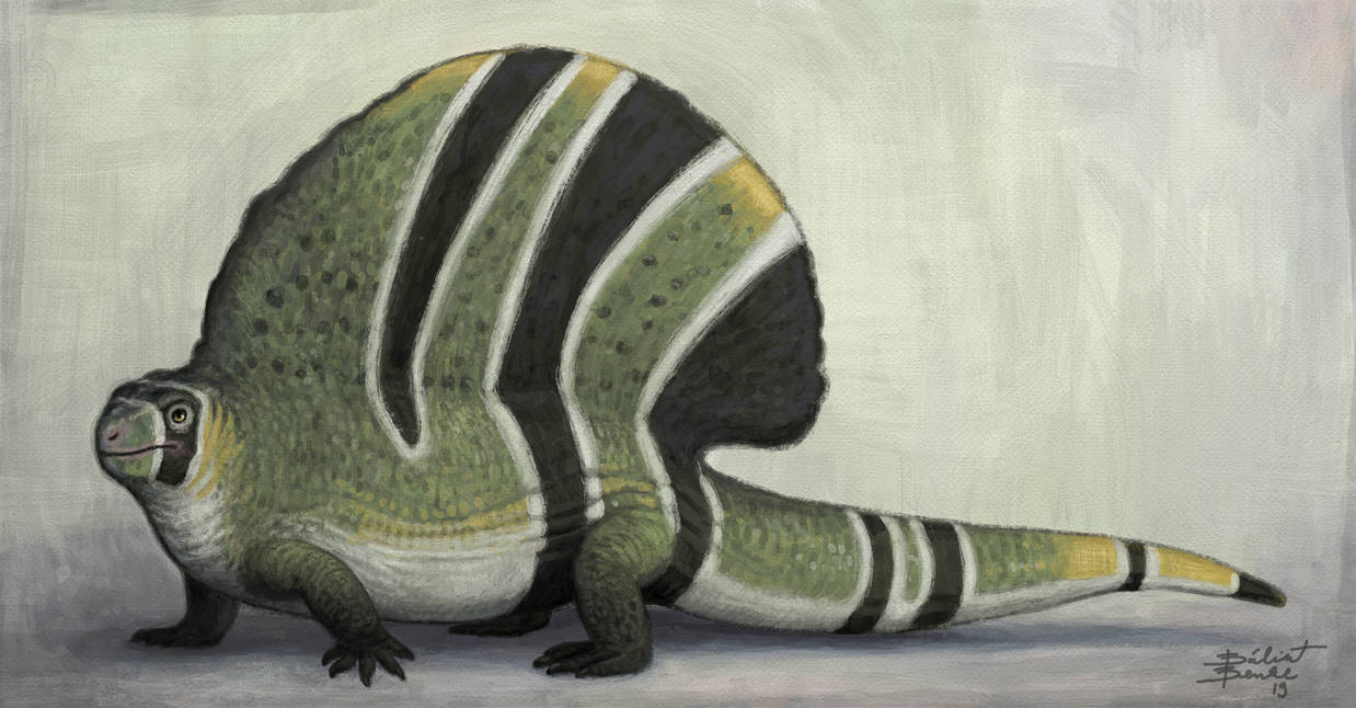 Edaphosaur Edaphosaurus by tnilab-ekneb121 on DeviantArt
