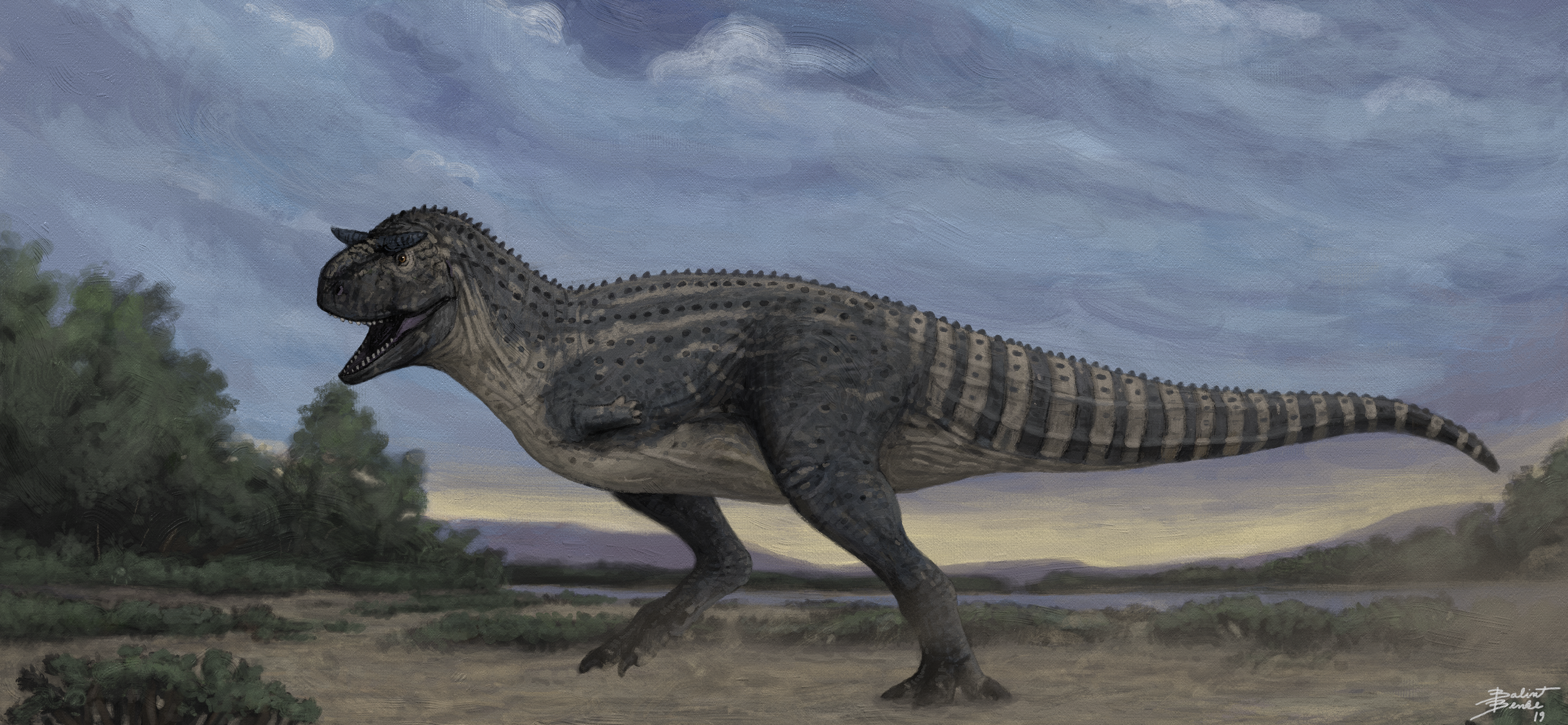 Carnotaurus by tnilab-ekneb121 on DeviantArt
