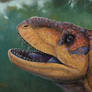 coelophysis portrait by tnilab-ekneb121 on DeviantArt