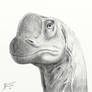 Europasaurus portrait sketch