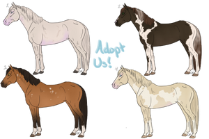 Horse Adopts - Closed