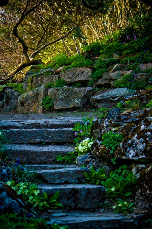 Stone Stair