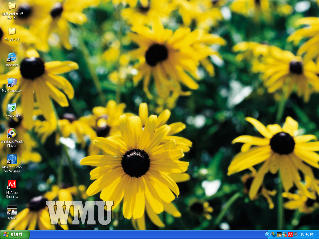 Windows Xp Screensaver Deviantart Windows XP Desktop by star-rocker on DeviantArt