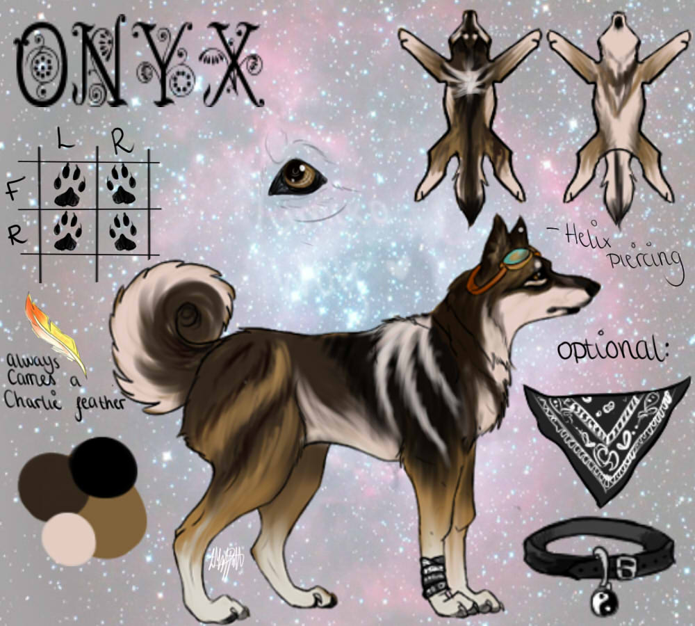 Onyx - Fursona Ref sheet