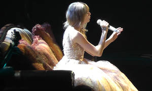 Taylor Swift Concert Snaps #3