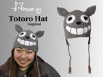 Amaze-ing Totoro Hat by Amaze-ingHats