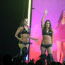WWE - 2011 - Bella Twins - 01