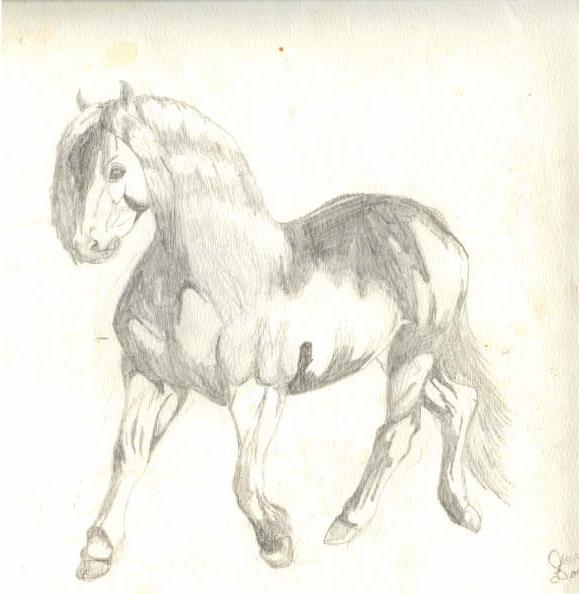 Horse I Drew When I Was 11