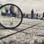 98- Magnifying Glass... VII