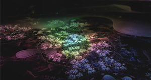 Serenity Spectrum