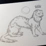 Moon Ferret