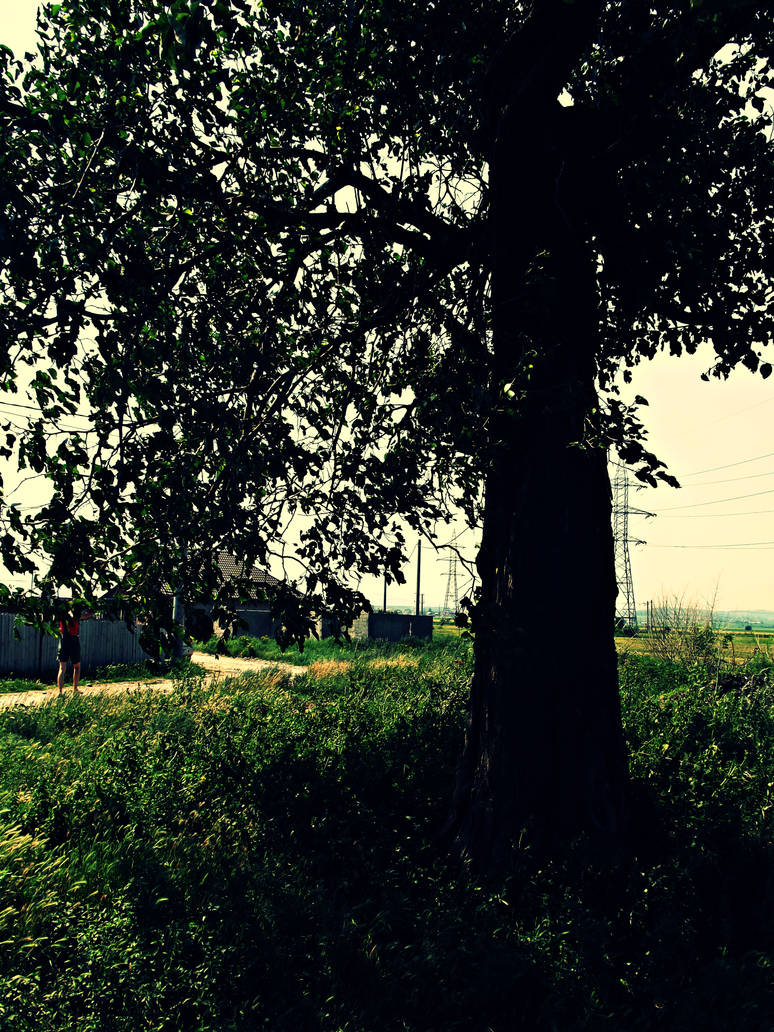 a honest tree by slacker-bastard on DeviantArt