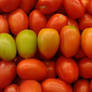 tomato spectrum