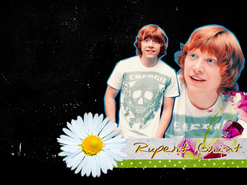 Wallpaper - Rupert Grint.