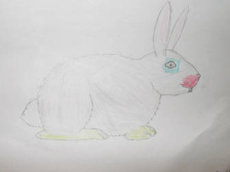 Wreid bunny