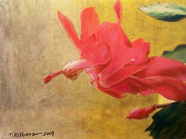 xmas cactus pastel