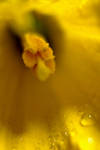 extension tube tryout by TomKilbane