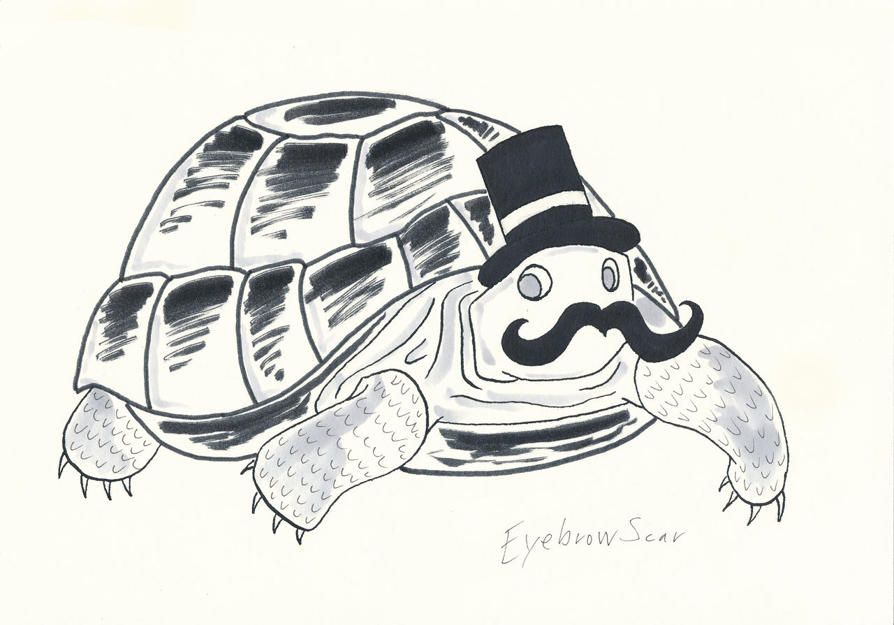 Inktober - Gentleman Turtle