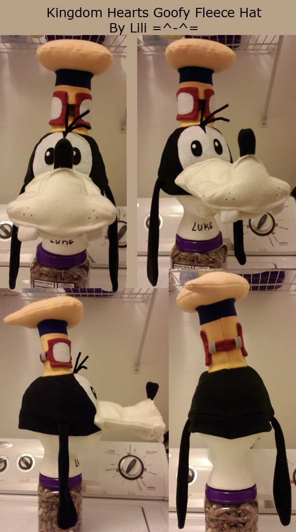 Kingdom Hearts Goofy Hat