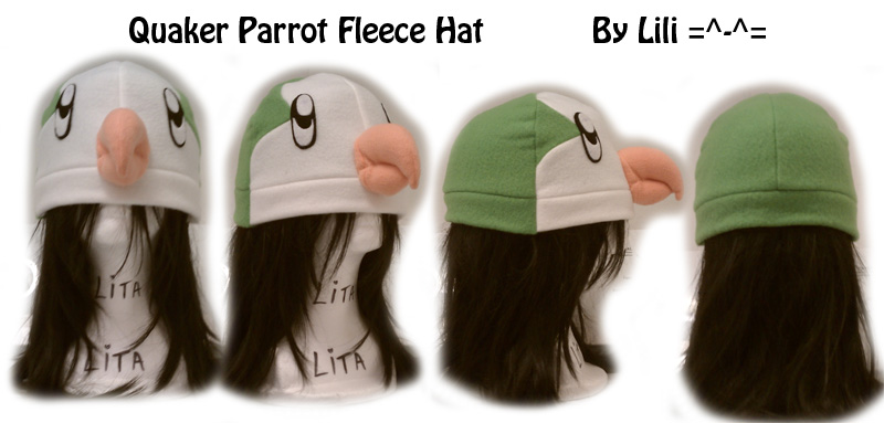 Quaker Parrot Hat