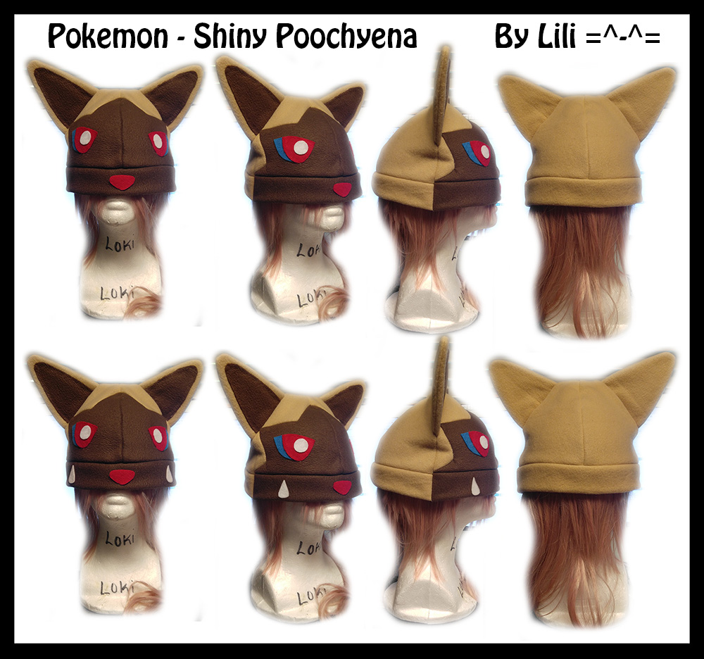 3rd Gen - Shiny Poochyena Hat