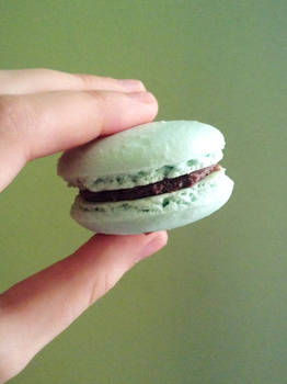 One Perfect Macaroon