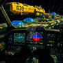 On Approach (with Bear the Cat)