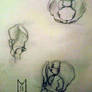 Pelvis Study