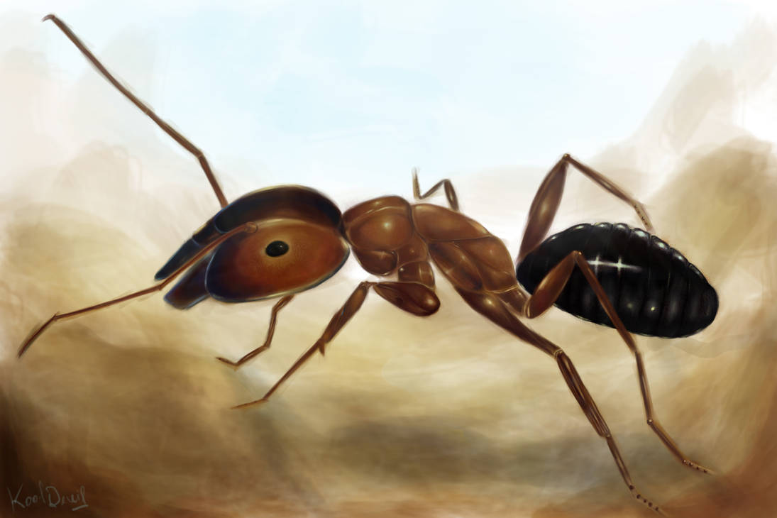 Ant Deviantart THE ANT by KOOLDEVIL on DeviantArt