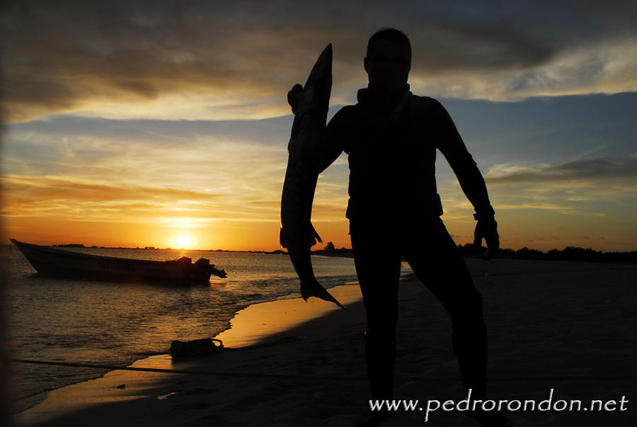 La Tortuga 14 by pedrorondon
